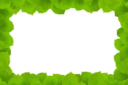 green leafs -frame on white background. clipping path included