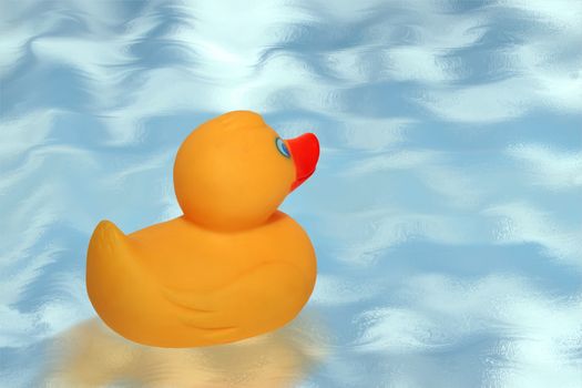 a rubber duck swimming in the blue water with copy space.includes a clipping path.