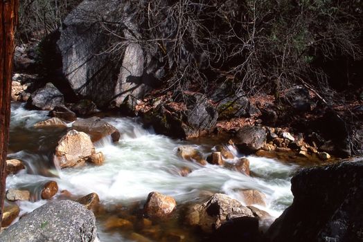 Yosemite National Park