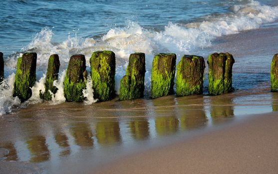 The Sea in the  Poland