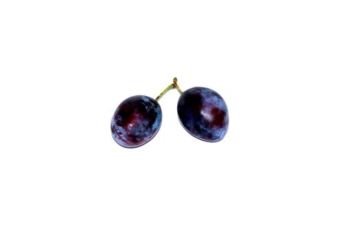The juicy purple plums on the isolated background