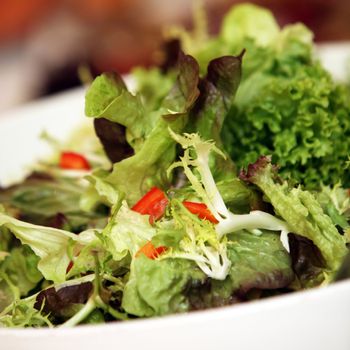 fresh, green leaf lettuce - square-close-up