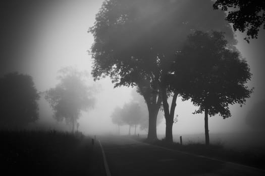 An image of a beautiful landscape with fog in bavaria germany