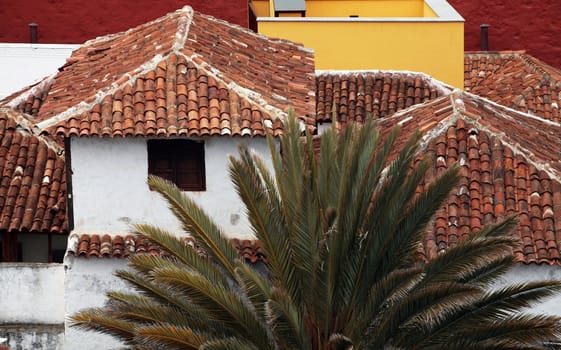 White houses with red roofs and palms