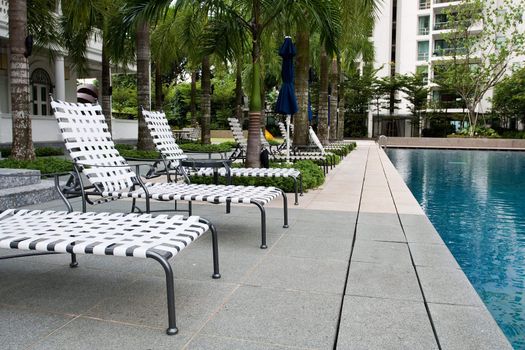 Swimming pool with chairs and palm trees
