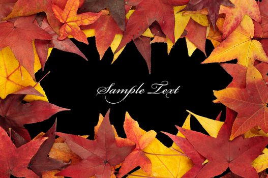 Beautiful frame of colorful autumn leaves over black with space for your text