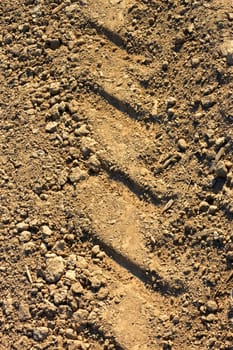 Tread pattern of a truck tire on the dried soil