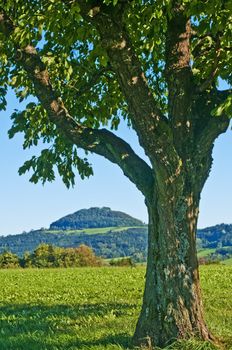 a panoramic view to a hill