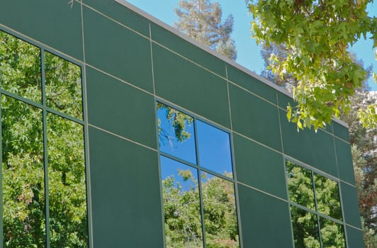 Trees and blue sky reflected on office windows with green wall