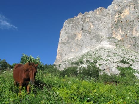 Mountains, rocks; a relief; a landscape; a hill; a panorama; Caucasus; top; a slope; a snow, clouds; the sky