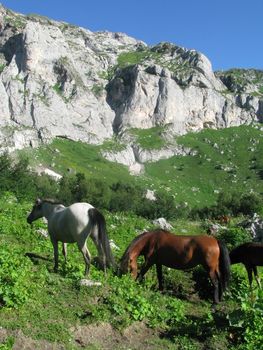 Mountains, rocks; a relief; a landscape; a hill; a panorama; Caucasus; top; a slope; a snow, clouds; the sky