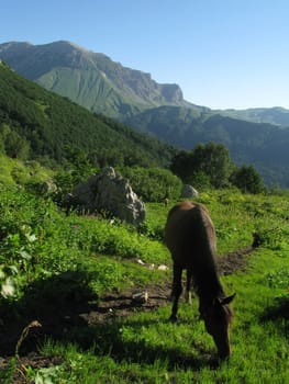 Mountains, rocks; a relief; a landscape; a hill; a panorama; Caucasus; top; a slope; a snow, clouds; the sky