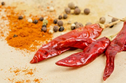 dried peppers and other kind of peppers spices on a brown background