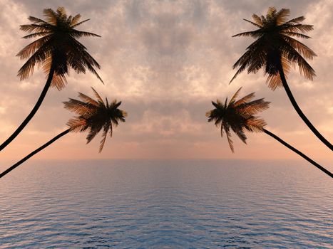 Sunset coconut palm trees on small island 