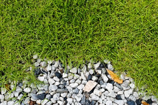Grass and stone