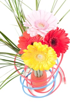 Conceptual shot of flowers and wires isolated on white