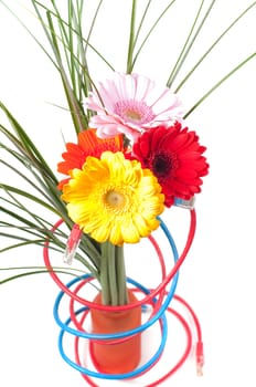 Conceptual shot of flowers and wires isolated on white