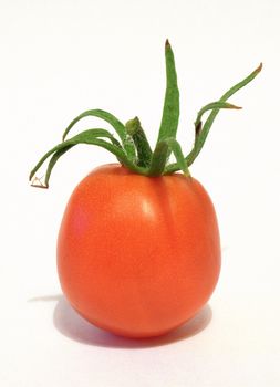 freshness tomato