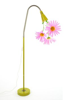 Eco energy concept. Huge punk daisies growing out of a green lamp.