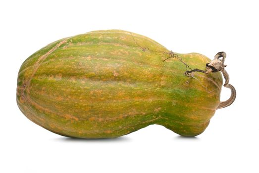 Calabash pumpkin isolated on the white background
