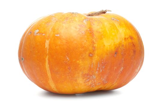 Orange pumpkin isolated on white background.