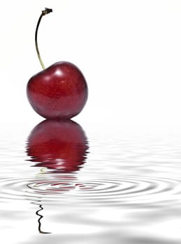 Cherries isolated on a white background.