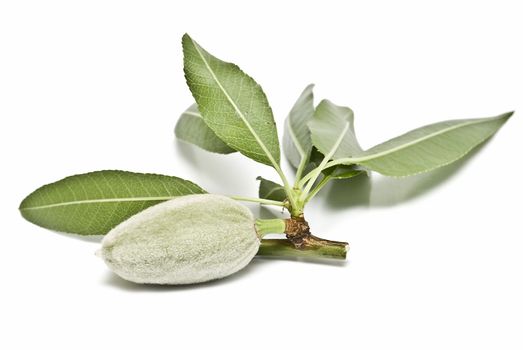 Green almonds isolated on a white background.