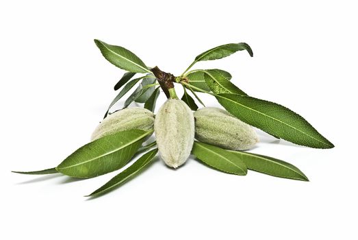 Green almonds isolated on a white background.