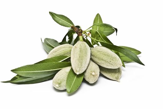 Green almonds isolated on a white background.