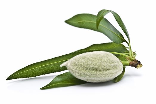 Green almonds isolated on a white background.