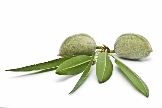 Green almonds isolated on a white background.