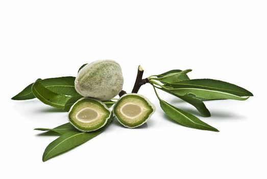 Green almonds isolated on a white background.