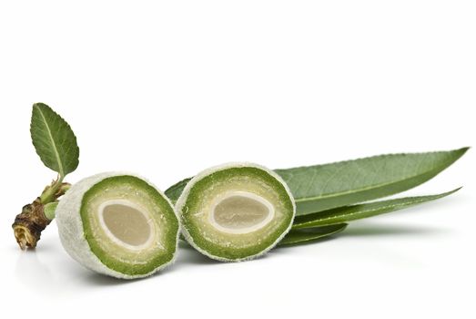 Green almonds isolated on a white background.