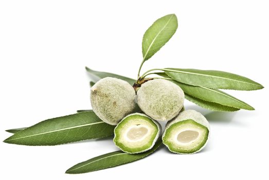 Green almonds isolated on a white background.