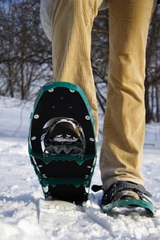 Closeup of snowshoes in snow in Quebec. Woman walking.