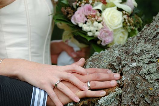 Hands, rings and bouquet of a wedding couple