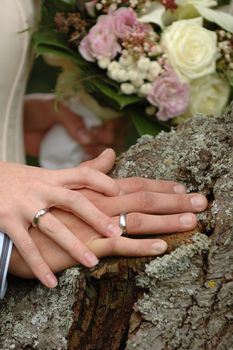 Wedding rings and hands of a young wedding couple.