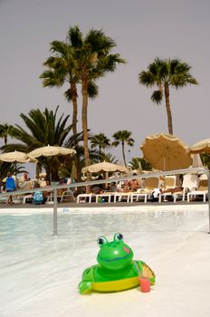 Happy frog is enjoying a cool drink by the pool