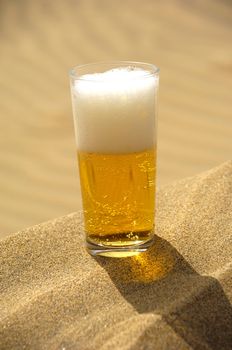 A glass of fresh beer in a desert. 