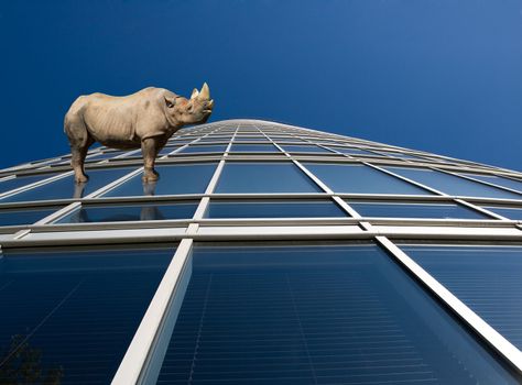 Rhino standung on skyscraper windows with perspective view