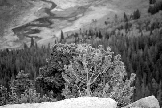 Colorado Mountains