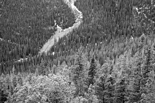 Colorado Mountains