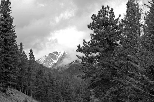 Colorado Mountains