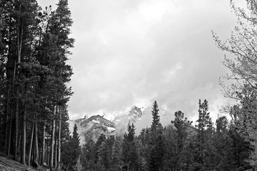 Colorado Mountains