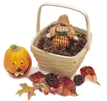 Thanksgiving or Halloween still-life: Basket of pine cones with scarecrow doll, ceramic pumpkin and colorful real Fall leaves. All isolated on white.