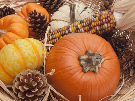 Autumn or Thanksgiving still-life with ornamental pumpkins, colorful Indian corn, pine cones and straw on straw mats