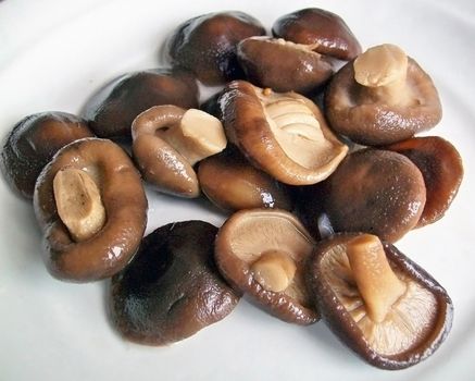 Mushrooms pickled on plate