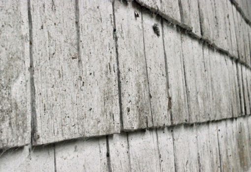 Wood siding texture perspective