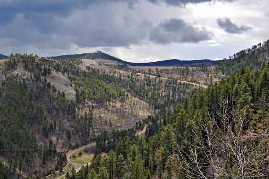 Black Hills South Dakota