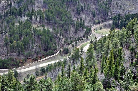 Black Hills South Dakota